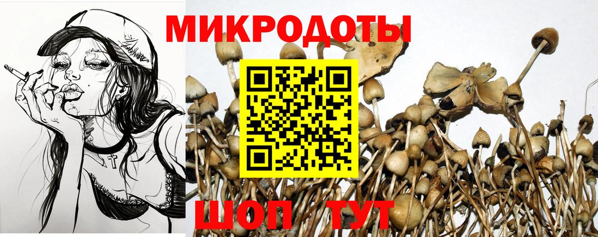 Самара  Галлюциногенные грибы мухоморы  Вход с VPN  Псилоцибиновые грибы Cubensis 